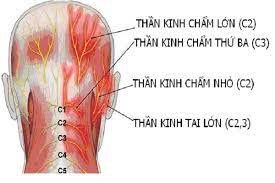 Đau dây thần kinh chẩm. Nguyên nhân, triệu chứng, chẩn đoán và điều trị