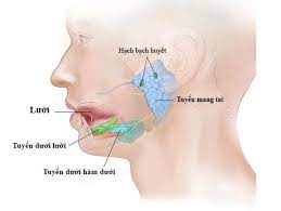 Bệnh quai bị và vaccine