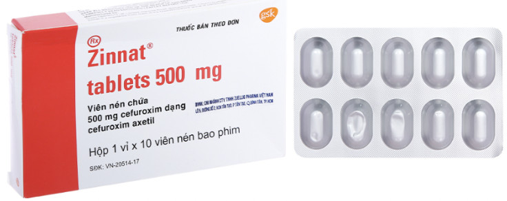 Zinnat 500