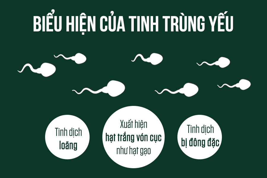 Tinh trùng yếu: Nguyên nhân, triệu chứng, chẩn đoán và điều trị