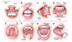 Bạch sản. Nguyên nhân, triệu chứng, chẩn đoán và điều trị