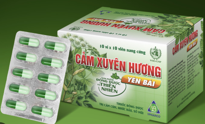 Cảm Xuyên Hương Yên Bái