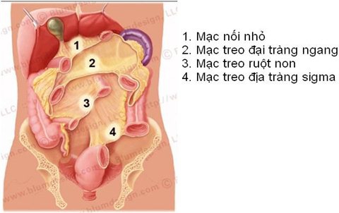 Lao ruột, phúc mạc và mạc treo các tuyến (lao bụng): Nguyên nhân, triệu chứng, chẩn đoán và điều trị